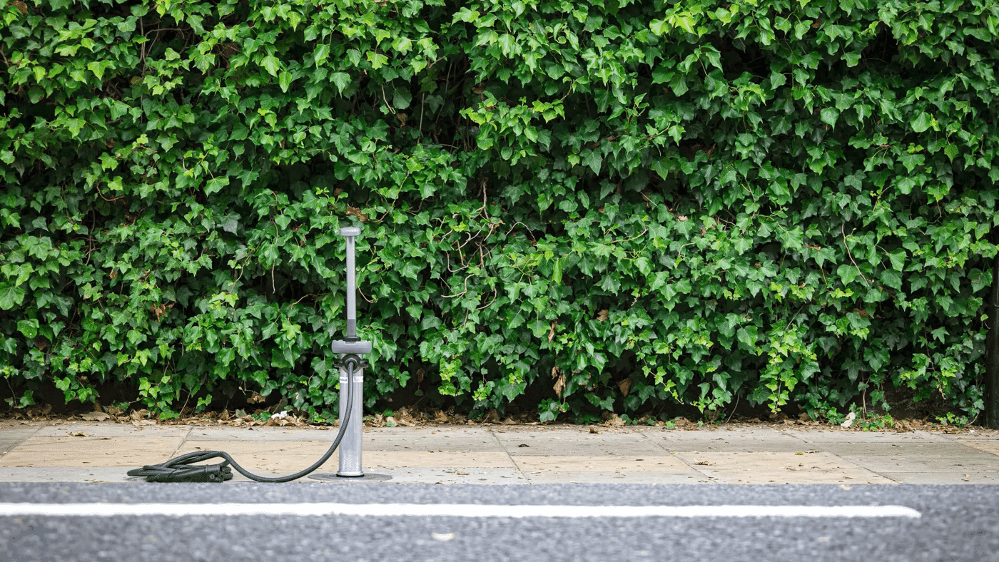 1489658192-a33cc03f69b0ad603a8d0b38fd54bd293a192d8d27e90ad1bf48c1b5561ebf67-d